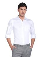 Arrow Men's Regular Fit Shirts