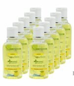NANZ COMFORT Hand sanitizer Gel With Lemon & Aloevera 60 Ml Pack Of 10