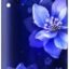 Whirlpool 192 L 5 Star Icemagic Powercool Inverter Direct-Cool Single Door Refrigerator (215 IMPC ROY 5S Inv SAPPHIRE MULIA-Z, Base Stand with Drawer, 2024 Fridge Model)