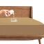 Trance Cotton Feel Terry Ultra Soft Waterproof Mattress Protector | Breathable - Hypoallergenic Mattresses Cover (72x72 inch | 6x6 feet, Brown - Pack of 1)