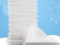 Rokoo Facial Tissues,Tissue Refill,Disposable Facial Tissues,Face Towel,Tissues Travel Size Pack For Purse,12 Packets