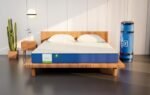 Flo Ortho™ Aloe Vera Infused Orthopedic Mattress with Pain Release™ Technology | Medium Firm Feel | 4 inch Mattress in Queen Size (72x66x4 Inches) | 10 Year Warranty