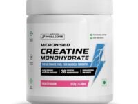 Wellcore - Pure Micronised Creatine Monohydrate (Fruit Fusion, 33 Servings) | Rapid Absorption | Enhanced Muscle strength & Power, Powder, 1 count