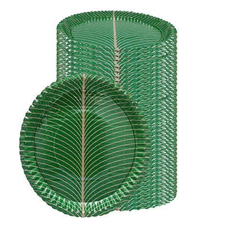 SAI Balaji 100% Biodegradable_Eco Friendly_12 Inch Paper Dinner Plates_Pack of 50_Natural Paper Plates_SBPPL13