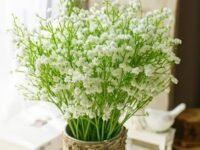 SATYAM KRAFT 20 Pcs Artificial Baby’s Breath Flowers (Gypsophila) Bouquet for Gifting, Home Decor, Bedroom, Table Centerpiece, Balcony, DIY Craft, Vase,Diwali Decoration (28.5 cm, Without Vase)