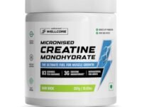 Wellcore Pure Micronised Creatine Powder (83 Servings, Kiwi Kick) For Enhanced Muscle Strength With Rapid Absorption | Creatine Monohydrate | Wellcore Creatine Flavoured - 307g