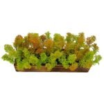 fancymart Artificial Corriender Plant Bunch in Wood Planter