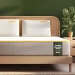 SleepyCat Ultima Natural Latex Mattress - Medium Soft | eco-INSTITUT Certified - 100% Organic Latex | Washable Zipper Cover | King Bed Mattress (King Size, 78x72x8 Inches)