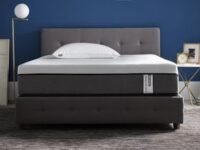 LOOM & NEEDLES Orthopedic Mattress | 5 Zone Cooling Gel Medium Firm Memory Foam Orthopaedic Mattresses | 8 Inches Double Size Gadda with Temperature Control Technology | 72x48 Inch