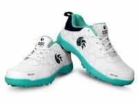 DSC Belter Cricket Shoes for Mens,