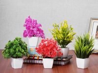 Dekorly Set of 5 Bonsai Wild Artificial Plant with Pot Artificial Plants for Home Decor -Best Different Types of Decorative Plants Artificial Flowers with Pot (Multicolor, Height : 17CM)