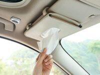 Detachi Car Tissue Holder, Sun Visor Napkin Holder, Car Visor Tissue Holder, Tissue Holder for Car (Beige)