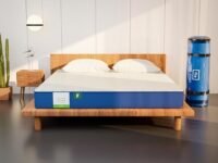 Flo Ortho™ Aloe Vera Infused Orthopedic Mattress with Pain Release™ Technology | Medium Firm Feel | 4 inch Mattress in Queen Size (78x60x4 Inches) | 10 Year Warranty