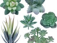 Tdas Plastic Artificial Succulent Plants Flowers Home Decor Items Plant Leaves For Living Room Hall Decorative Decoration Office (Green, 6-Pieces Set)