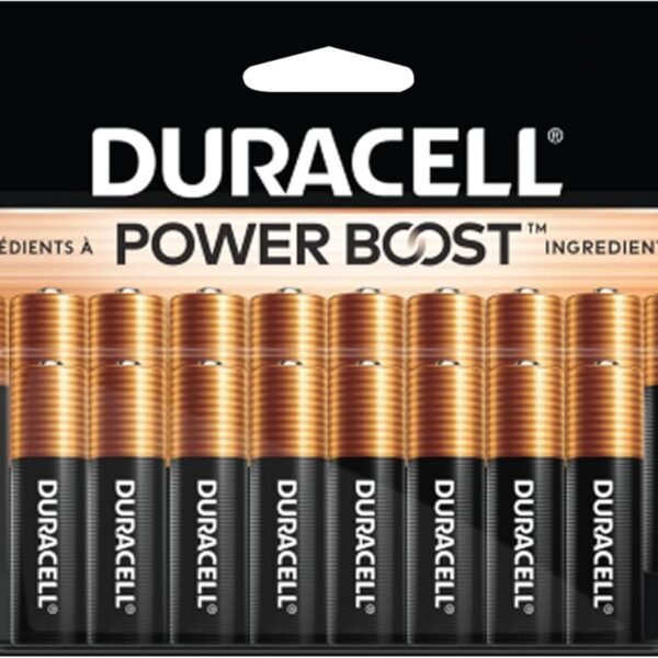 DURACELL Coppertop Alkaline Batteries with Duralock Power Preserve Technology Aa 20/Pk (Durmn1500b20z)