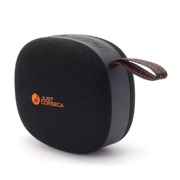 JUST CORSECA Seagle Wireless Speaker | 30W Power (2x15W) | Bluetooth 5.3 | 30 Hours Playtime | TWS Stereo | USB, TF, BT & FM Playback | Splash Proof | 2400mAh Battery (Black)