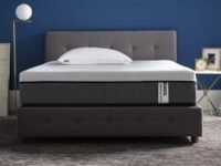 LOOM & NEEDLES Orthopedic Mattress | 5 Zone Cooling Gel Medium Firm Memory Foam Orthopaedic Mattresses | 6 Inches Single Size Gadda with Temperature Control Technology | 78x36 Inch