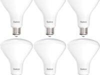 Sunco 6 Pack BR30 Light Bulbs LED, Recessed Can Light Bulbs, Indoor Flood Bulb, 850 LM, 11W (65W Equivalent), 6000K Daylight Deluxe, Dimmable, E26 Base, for Home, Kitchen, Bedroom UL.