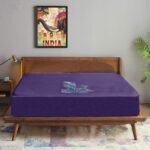 Trance Cotton Feel Terry Ultra Soft Waterproof Mattress Protector |Hypoallergenic Mattresses Cover (72x72 inch | 6x6 feet, Plum - Pack of 1)