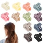 12 PCS PREMIUM Small Hair Claw Clips for Women Girls,12 Pcs Mini Tiny Hair Claw Clips for Thin/Thick/Medium/Fine Hair,0.9 Inch Little Cute Hair Jaw Clips Clamps Matte Rectangle Nonslip