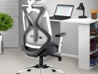 ASTRIDE Ergofit Ergonomic Office Chair for Home | 3-Years Warranty | 2D Headrest, Adjustable Arms & Lumbar Support | Tilt Lock Mechanism [Heavy Duty Chromium Metal Base, Grey-White]