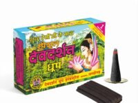 Devdarshan Special Wet Dhoop Sticks | Premium Natural & Non-Toxic Dhoop for Daily Puja, Meditation, Havan & Festivals | Long-Lasting Fragrance | 480 Sticks (Pack of 24 Units, Wet Dhoop 20 Sticks Each)