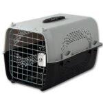 Foodie Puppies Imported Plastic Pet Travel Carrier Cage & Kennel House (49 X 34 X 28 cm, Neon Grey) for Dogs, Puppies & Small Animals I Portable Transporter Box with Metal Door and Spring Lock