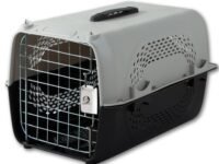 Foodie Puppies Imported Plastic Pet Travel Carrier Cage & Kennel House (49 X 34 X 28 cm, Neon Grey) for Dogs, Puppies & Small Animals I Portable Transporter Box with Metal Door and Spring Lock