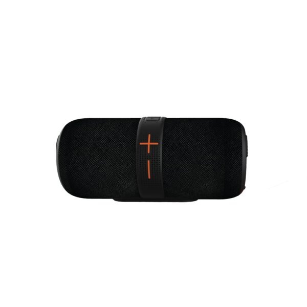 JUST CORSECA Sushi Boomer 40W Bluetooth Speaker | Dual 66mm Drivers | BT v5.3 | 3000mAh, 12H Playtime | IPX4 Splash Proof | RGB Lights | TWS, AUX, USB, TF, FM Support (Black)