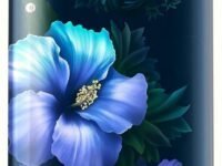 Whirlpool 184 L 5 Star Direct-Cool Single Door Refrigerator with Intellisense Inverter Compressor (205 WDE ROY 5S Inv SAPPHIRE SPRING-Z)