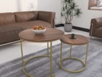 DECOWORLD || Premium Coffee Table || Nesting Center Table for Living Room || Modern Furniture for Living Room|| Wooden Top Golden Finish