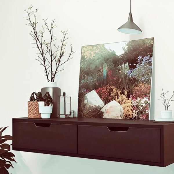 Dime Store Wall Mount Floating Wall Shelf with Drawer for Living Room Home Bedroom and Home Decorative Items Storage Shelf (Brown)