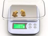 Gripit Jewellery Weighing Scale 1000g x 0.01g – High Precision Digital Gold Weight Machine with Backlit LCD Display for Shops, Labs & Kitchens, Stainless Steel Platform (White)