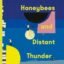 Honeybees and Distant Thunder: The million copy award-winning Japanese bestseller about the enduring power of great friendship
