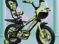 Kidsmate Star Ride 16T Kids Bicycle with Training Wheels | Cycle for Kids Featuring Front Basket, Adjustable Seat & Strong Steel Frame | Perfect First Ride Kids Cycle for 5-8 Years - Neon Green