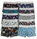 Men Printed Lycra Underwear Pack of 1 (Multicoloured)