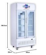 ROCKWELL RVC580A Double glass door Visi cooler, 4 Year Warranty, White (Internal LED, Heavy Duty, Dynamic cooling)