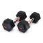RUBX Rubber Coated Professional Exercise Hex Dumbbells (Pack Of 2) 10 Kg X 2Pc (Total = 20 Kg), Black