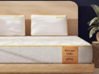 SleepyCat Latex Ortho Mattress | Firm Pinhole Latex Mattress for Back Support | Orthopedic Bed Mattress | Washable Zipper Cover | 10 Year Warranty (King Size, 72x72x8 Inch)