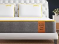 SleepyCat Ultima Mattress with AirGen™ Memory Foam | 10-inch | Medium-Soft Feel for Hotel-Like Comfort | CoolTEC™ Fabric for 4º Cooler Sleep | 10 Years Warranty (Kingsize, 78x72x10 Inches)