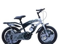 TONY RAW Bicycles Sports Gigi 16T BMX Single Speed Bicycle Cycle for Kids 5 Years to 8 Years Boys & Girls with Training Side Wheels Water Sipper (Grey Silver)