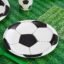Wanna Party Soccer Paper Plates for Sports Themed Birthday Party Supplies/Soccer Theme Party Decorations/Football Theme Party Tableware-Pack of 10
