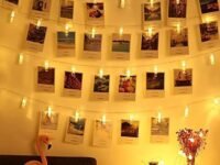 Xenith 14 LED Photo Clip Fairy String Lights for Outdoor Indoor Anniversary Birthday Party Christmas Decoration Home Festival Festive Party Restaurants Farewell (Warm White, 3.5 Meter)