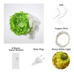 fizzytech Artificial Leaf Curtain Lights – 200 LED Warm White Fairy String Lights, 3x1m, Remote Control with 8 Lighting Modes for Home, Wedding, Party, Diwali, Christmas & Festival Decoration