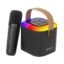 pTron Newly Launched Fusion Tunes 10W Mini Bluetooth Speaker with Wireless Karaoke Mic, 8Hrs Playtime, Vivid RGB Lights, Voice Effects, Multi-Play Modes BT5.1/TF Card & Type-C Charging Port (Black)