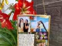 Mahogany Life Vintage Glass Hanging Rectangular Photo Frame For Wall Decor (5X7 Inch) | Transparent Glass And Brass Metal Hanging Pressed Flower Photo Frame For Wall