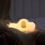 NYRWANA Puppy Light, Night Lamp for Kids, Night Light for Bedroom, Birthday Gift for Kids, Cute Table Lamp, Silicone Rechargeable Lamps with Charging Plug, Valentine Gift for Girlfriend (White)