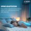 Sleepwell Ortho Pro Spring Mattress | Euro Top Finish | Triple-Zone Pocket Spring | Spine Support | Acuprofile Technology | King Size | 78X72X6 | 10 Yrs Warranty