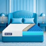 The Sleep Company Luxe Pro Mattress | SmartGRID + Natural Latex | Plush Medium-Soft Feel | Premium Latex for Luxury Sleep | King Size Double Bed Mattress 78x72x6