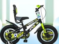 VESCO Kick Pro 14 T Kids Cycle with Balance Wheel & Back Rest Seat/Water Bottle | Rigid Fork, Frame 9 Inch | Ideal for 3 to 5 Years Boys & Girls (Green)